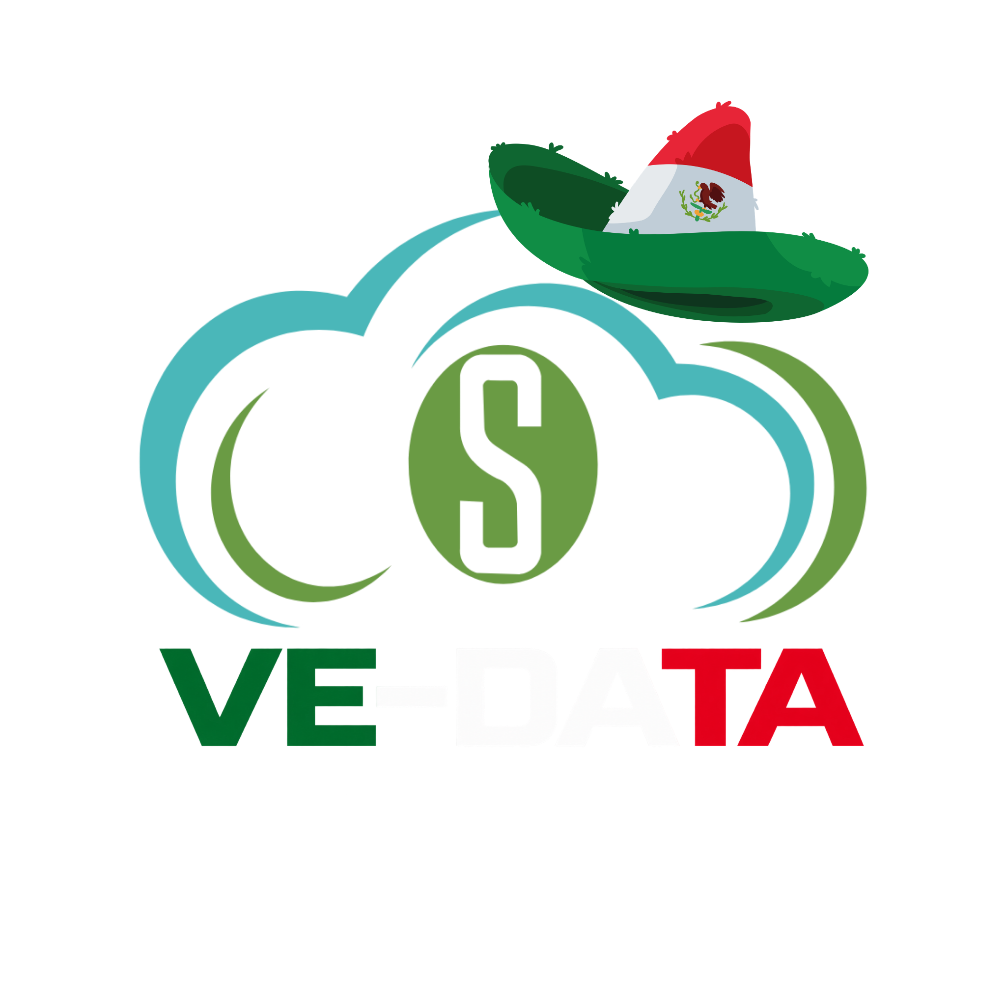 Logo de VE-DATA